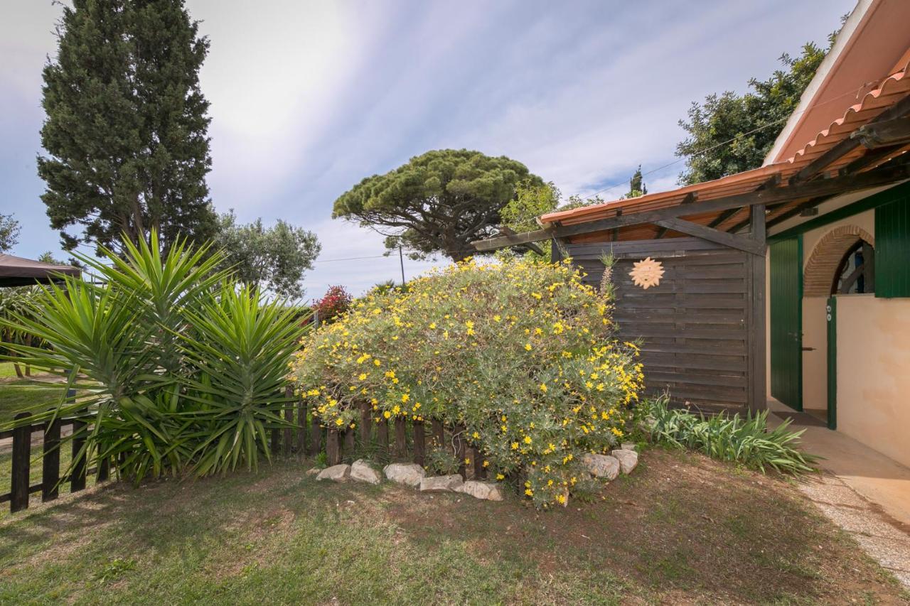 Podere Isabella San Vincenzo Dış mekan fotoğraf